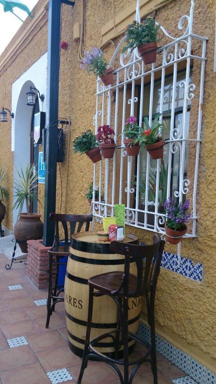 El Oasis Hotel